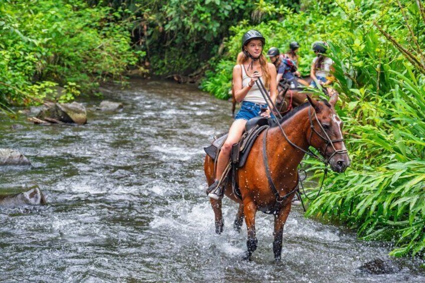 A person riding a horse through a flowing river surrounded by lush greenery. 5