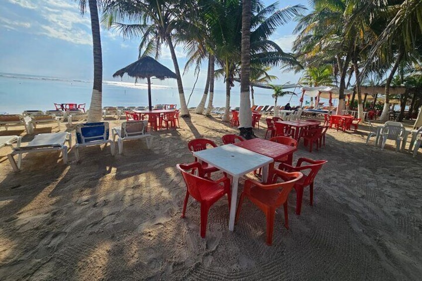 Un restaurante frente a la playa con mesas y sillas rojas, palmeras y vista al océano. 1