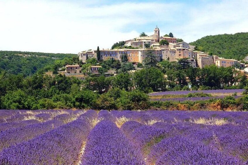 A village with buildings on a hill, surrounded by lavender fields. 5
