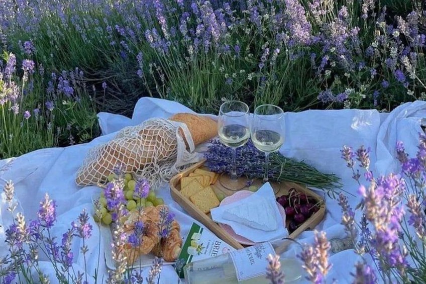 A picnic setup with a basket of bread, grapes, and cheese, surrounded by lavender fields. 1