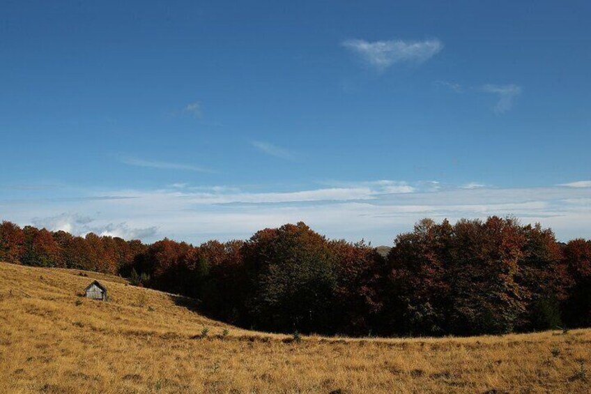 One Day off-road Adventure from Bucharest to Grohotiș Mountains 3