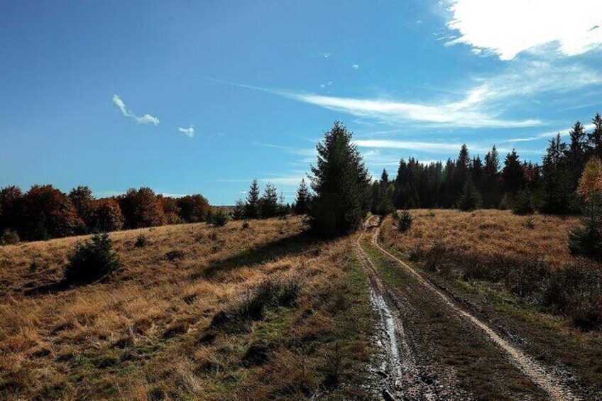 One Day off-road Adventure from Bucharest to Grohotiș Mountains 4