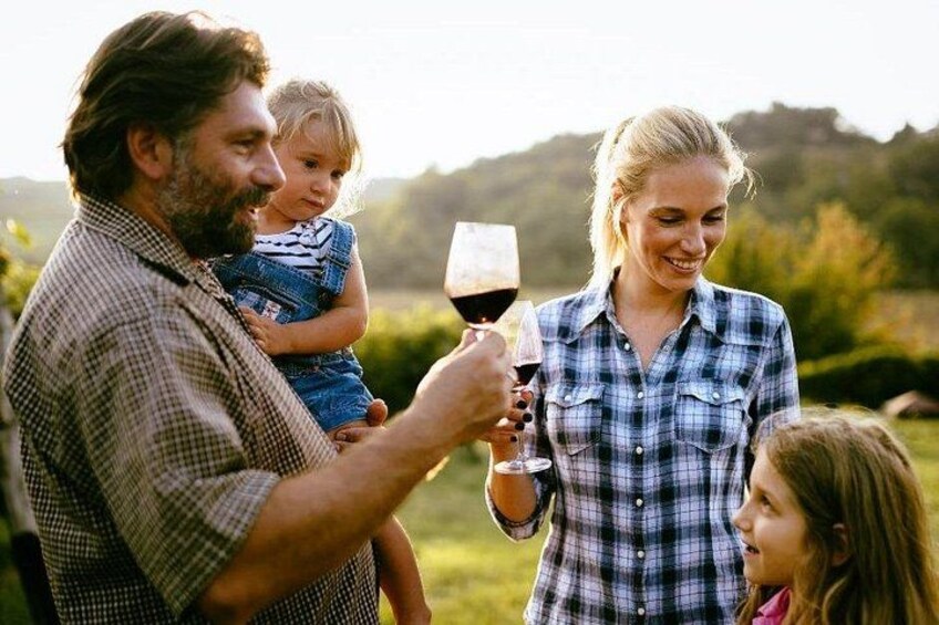 Winery Tour in Marsala with Local Wines and Specialties 5