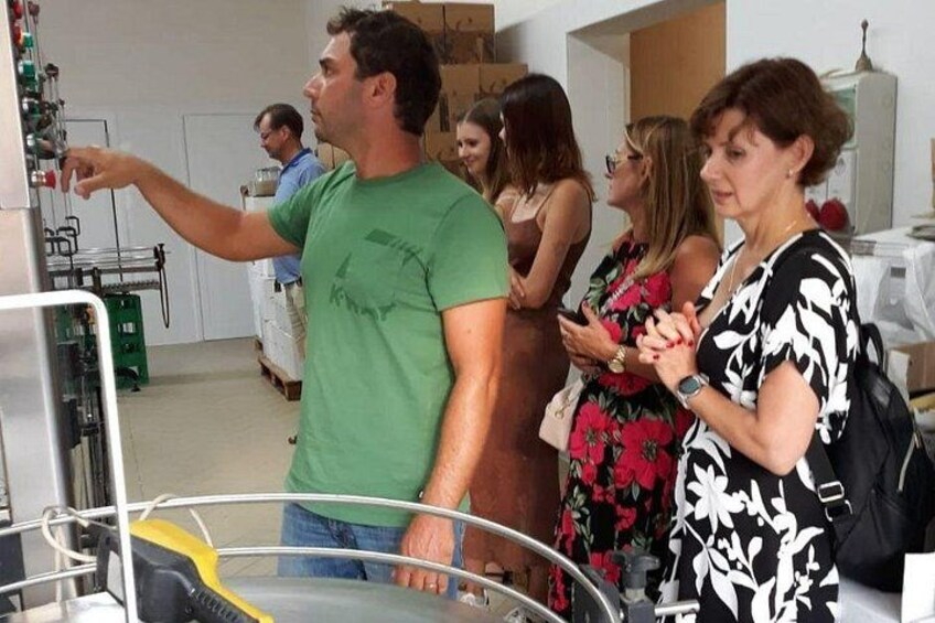 Winery Tour in Marsala with Local Wines and Specialties 3