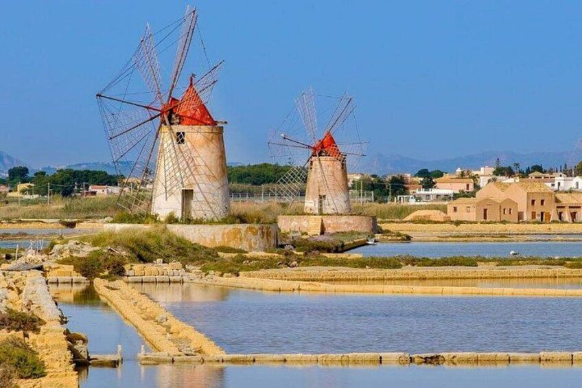 Winery Tour in Marsala with Local Wines and Specialties 5