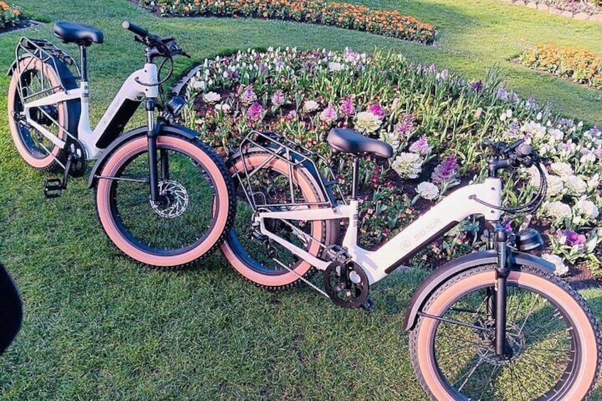 Guided E Bike Tour in San Francisco 2