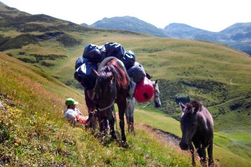 A person with a backpack and a red helmet on a horse, another horse nearby, and a hiker in the background. 1