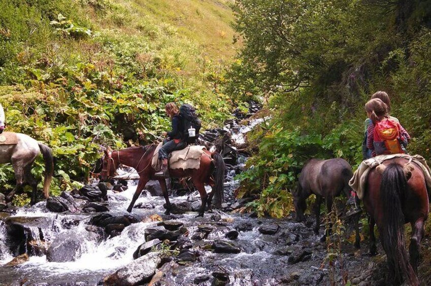 A group of people riding horses along a rocky stream in a forested area. 2