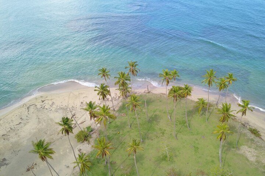 Lemon beach 2