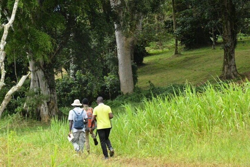 Three people walking through a grassy area with trees. 4