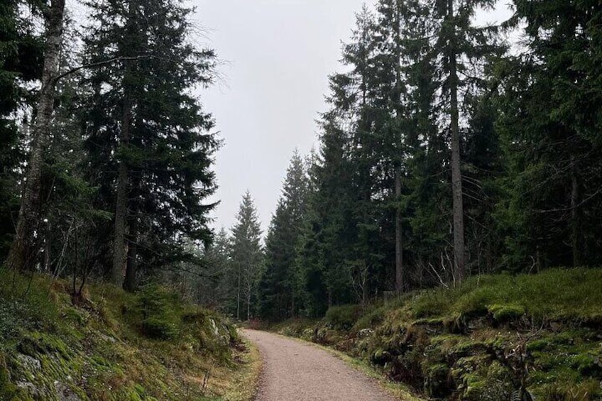 Scenic Forest Walk with Nordic Legends and Traditional Food 4