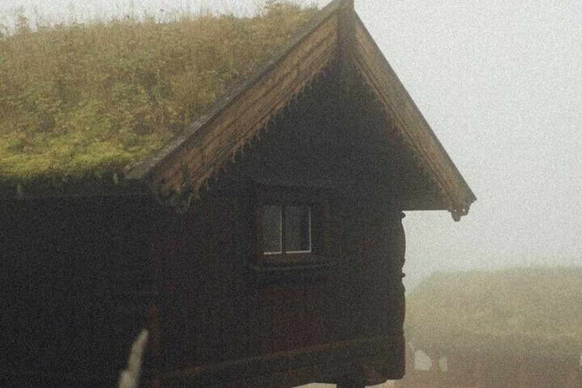 Scenic Forest Walk with Nordic Legends and Traditional Food 2