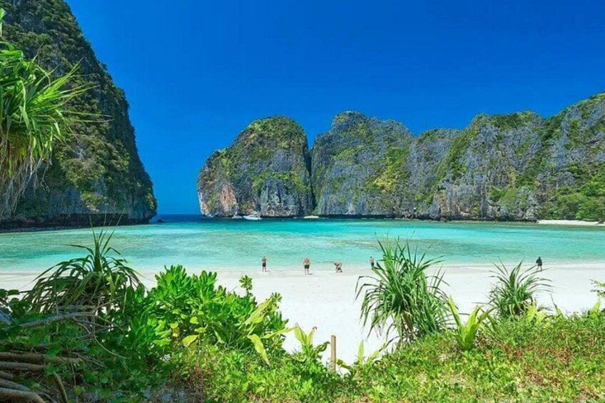 Phuket: Phi Phi Islands, Maya Bay and Khai or Bamboo by Speedboat 1