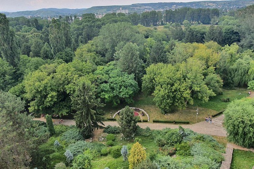 A lush park with dense trees, a circular garden, and a distant cityscape. 3