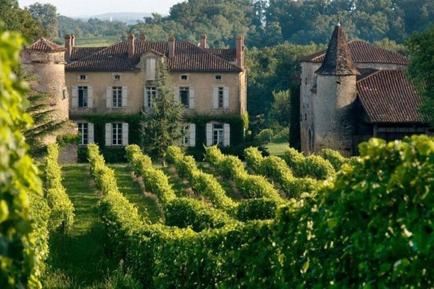 Bordeaux and Saint Émilion Wine Half Day Tour with Tastings 4