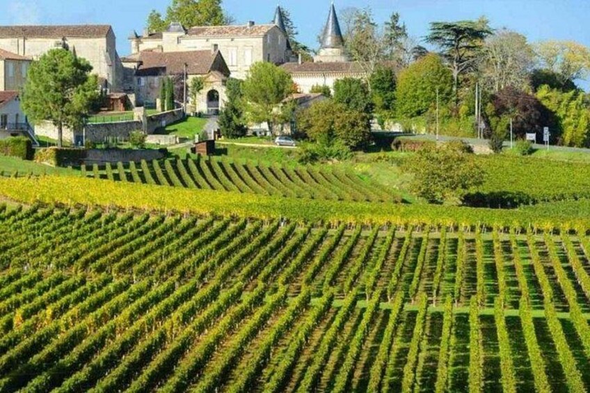 Bordeaux and Saint Émilion Wine Half Day Tour with Tastings 3