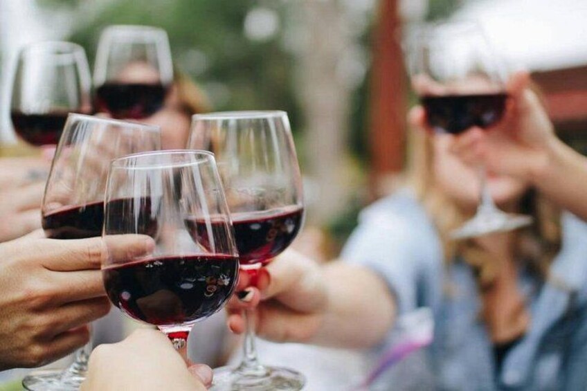 Bordeaux and Saint Émilion Wine Half Day Tour with Tastings 1