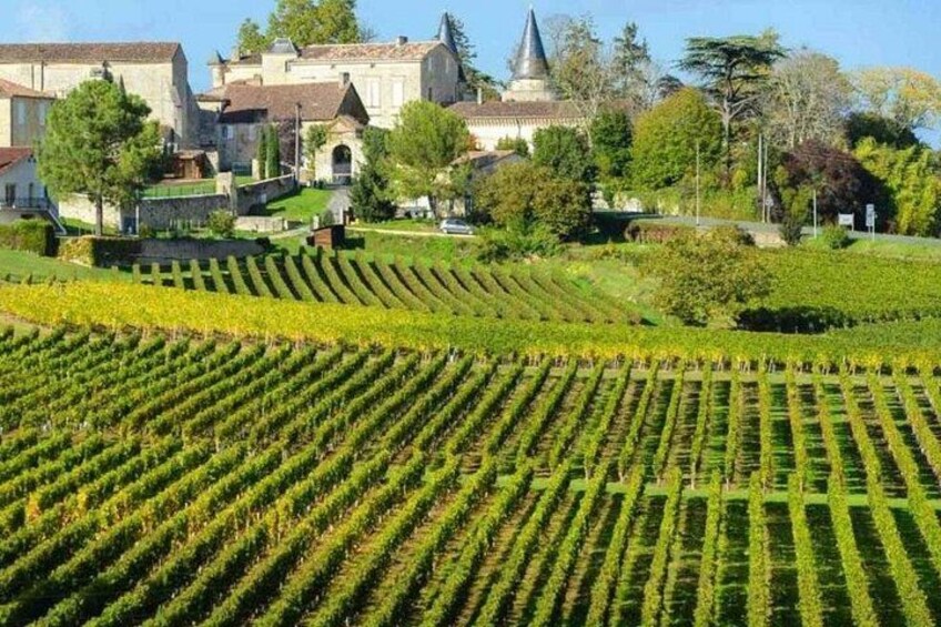 Bordeaux and Saint Émilion Wine Half Day Tour with Tastings 5