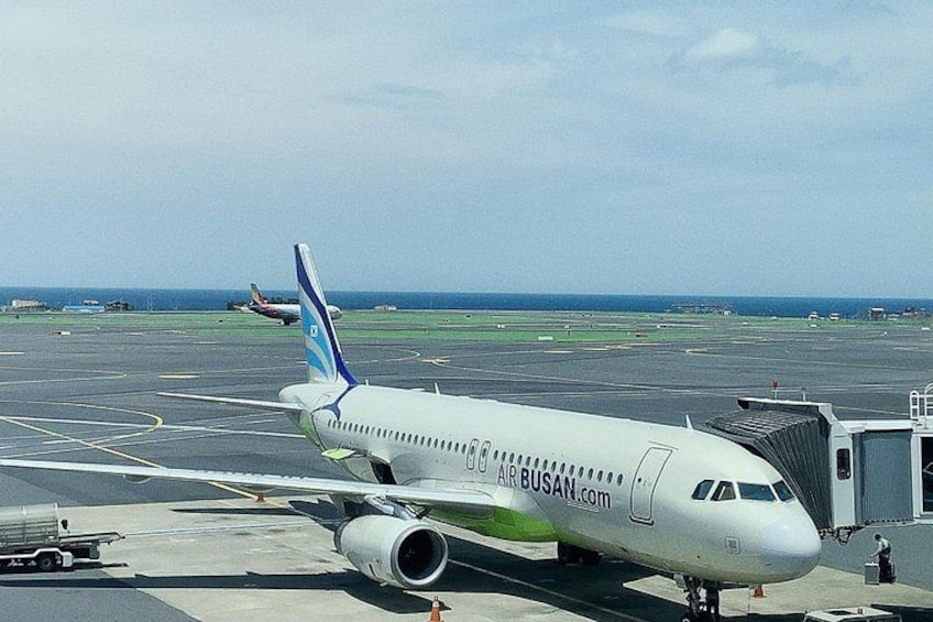 Perfect for Layovers!Taipei &Taiwan Airport Pickups & City Tours! 1