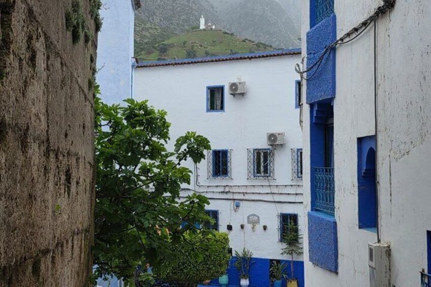 Una calle estrecha con edificios blancos y azules, un árbol y una colina con una estructura blanca al fondo. 2