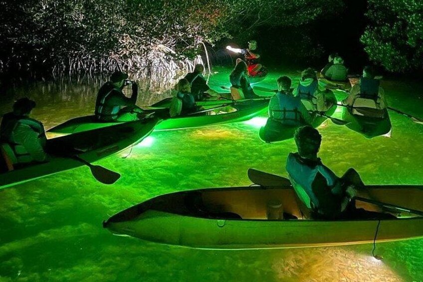 Sharkeys Glass Bottom Fish Feeding LED Night Tour Key West 1