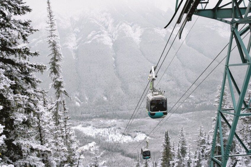 Banff Highlights and Wildlife Small Group Tour with Gondola 1
