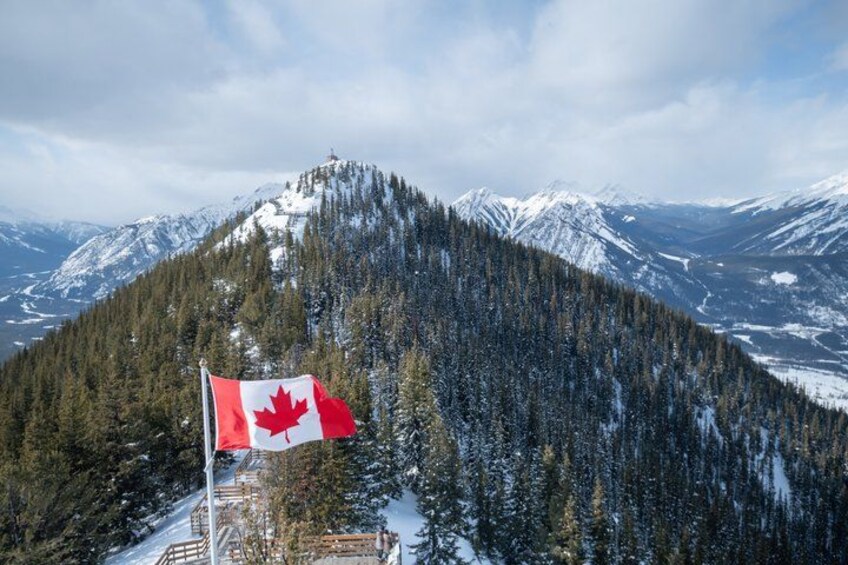Banff Highlights and Wildlife Small Group Tour with Gondola 2