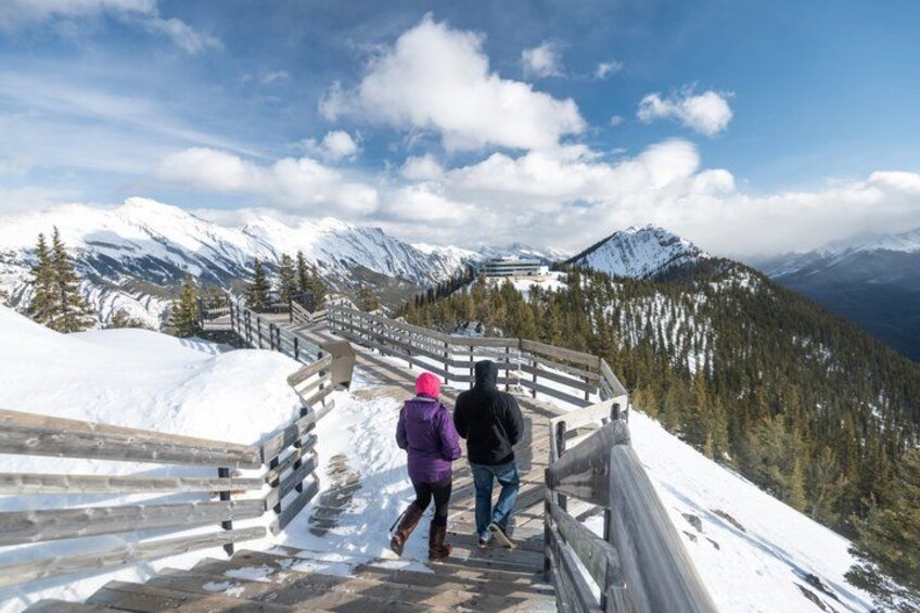 Banff Highlights and Wildlife Small Group Tour with Gondola 5