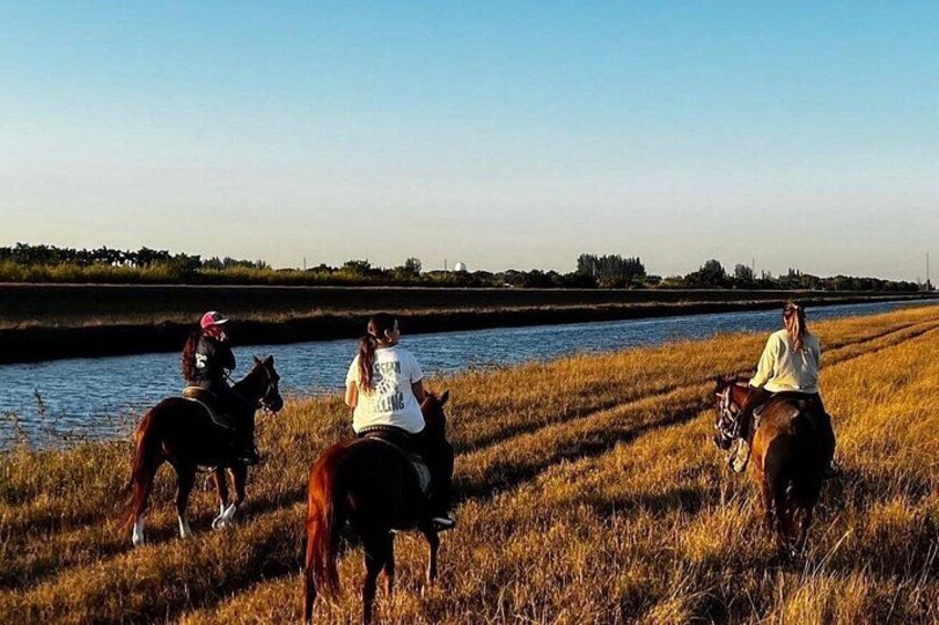 Horseback Riding in Miami 1