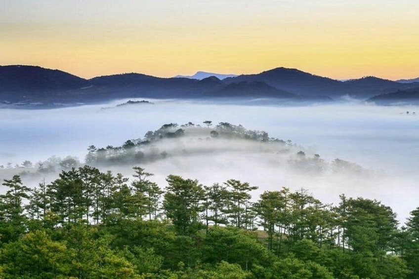 A misty forest with a mountain range in the background. 1