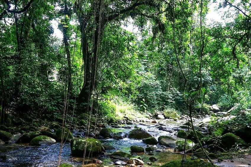 Rafting on the Mambucada River Adventure in the Atlantic Forest 2