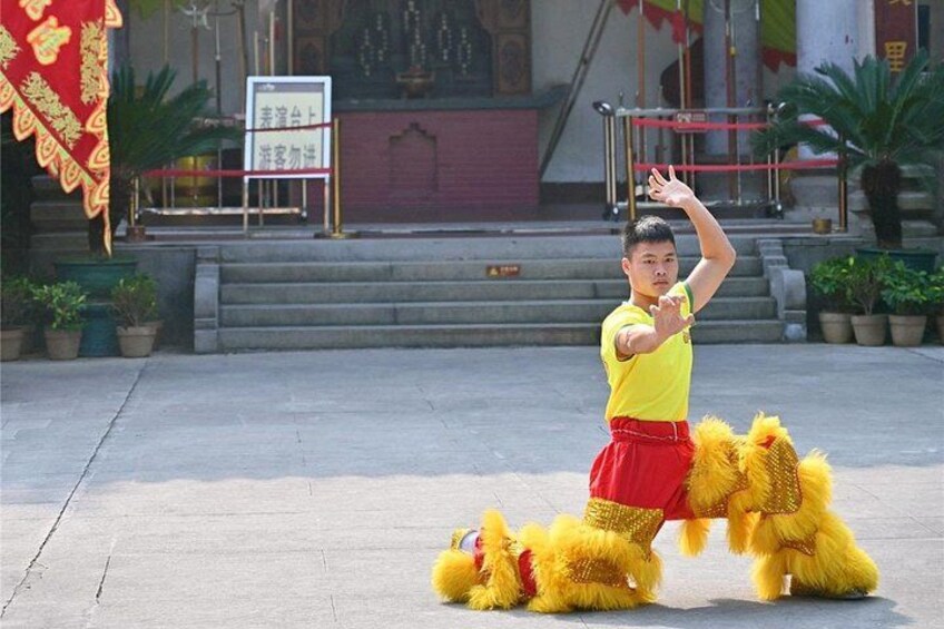 A person in traditional attire performing a lion dance in an outdoor setting with steps and potted plants. 5