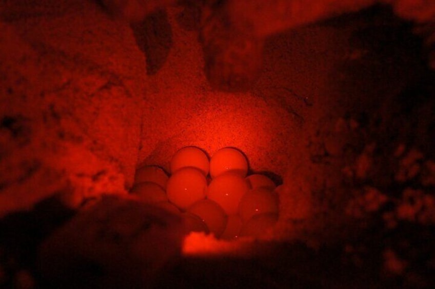 A red-lit area with a cluster of spherical objects. 2