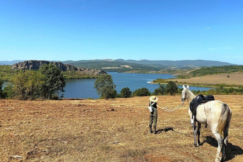 Eine Person führt ein Pferd an der Leine über ein trockenes Grasfeld, im Hintergrund ein See und Berge. 2