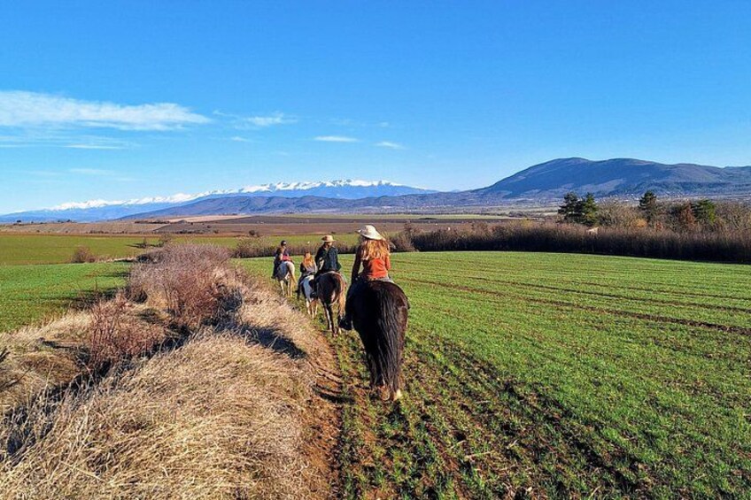 Eine Gruppe von Personen reitet auf Pferden durch ein Feld mit Bergen im Hintergrund. 4