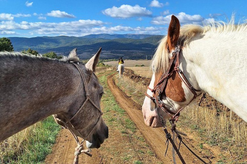 Escape Sofia: horse ride through Bulgaria's beauty 2