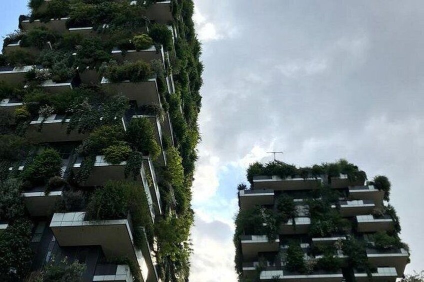 Two high-rise buildings with balconies covered in greenery. 2
