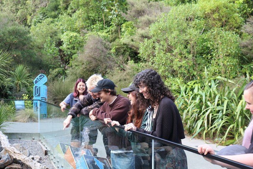 Animals of Aotearoa Wellington Zoo Tour 1