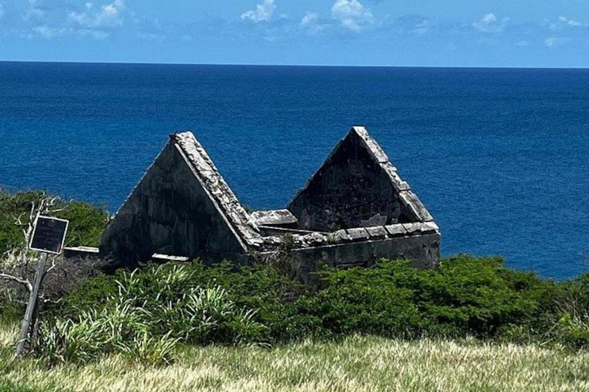 Celeb Island Adventure Tour 5