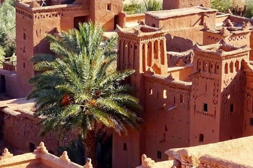 Learn about Berber culture and Moroccan traditions from your friendly local guide. 5