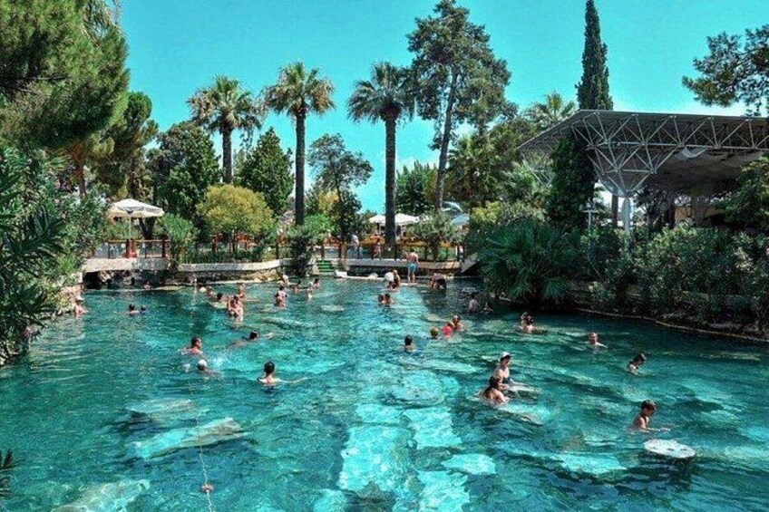A swimming pool surrounded by palm trees and a covered structure. 5