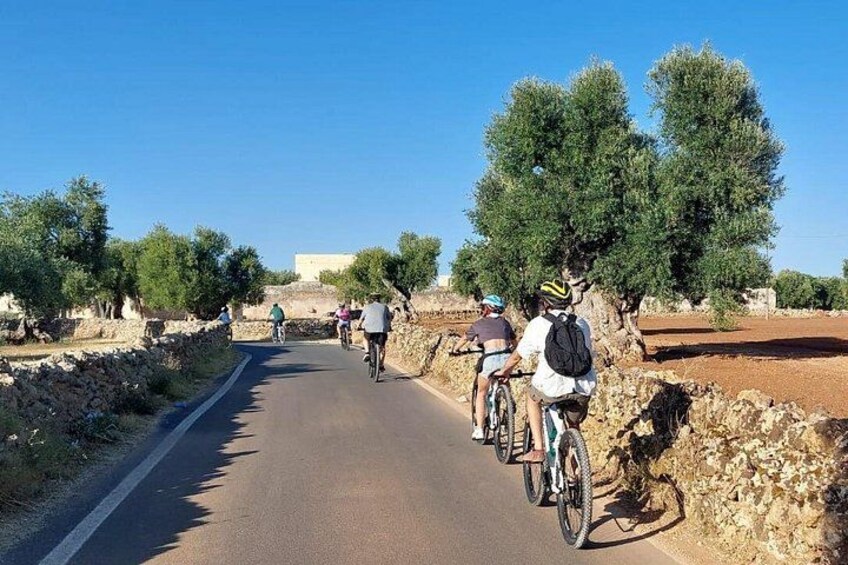 E-bike Tour Discovering Fasano 2