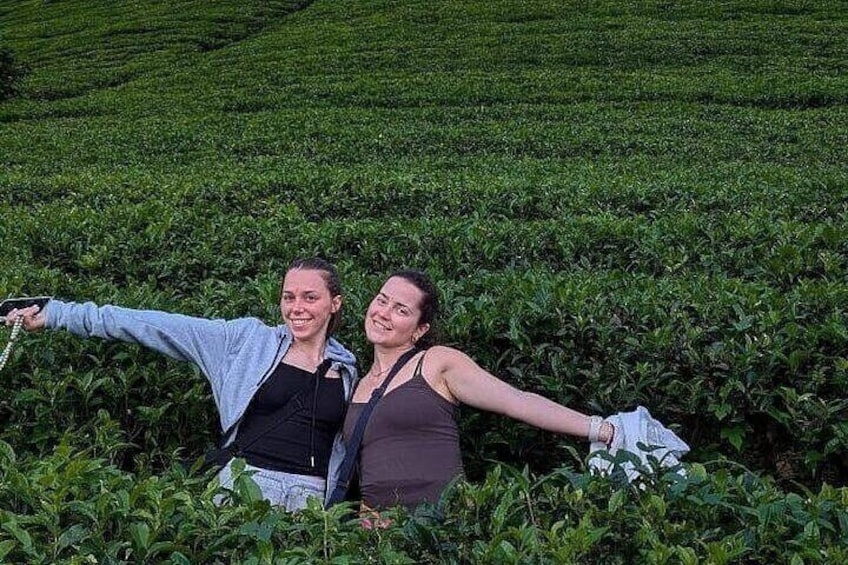 Kandy to Nuwara Eliya Private Day Tour: Tea Factory& Gregory Lake 5