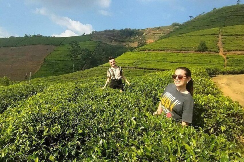 Kandy to Nuwara Eliya Private Day Tour: Tea Factory& Gregory Lake 1