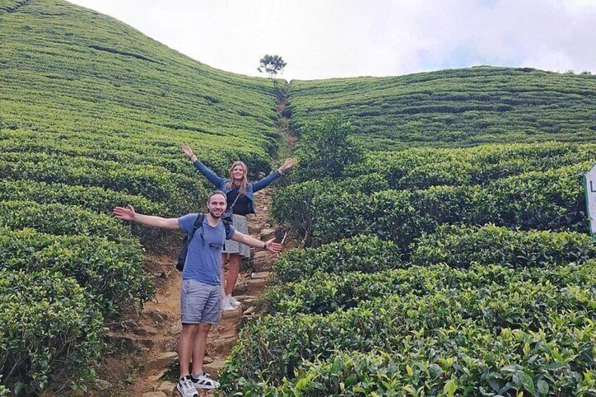Kandy to Nuwara Eliya Private Day Tour: Tea Factory& Gregory Lake 3