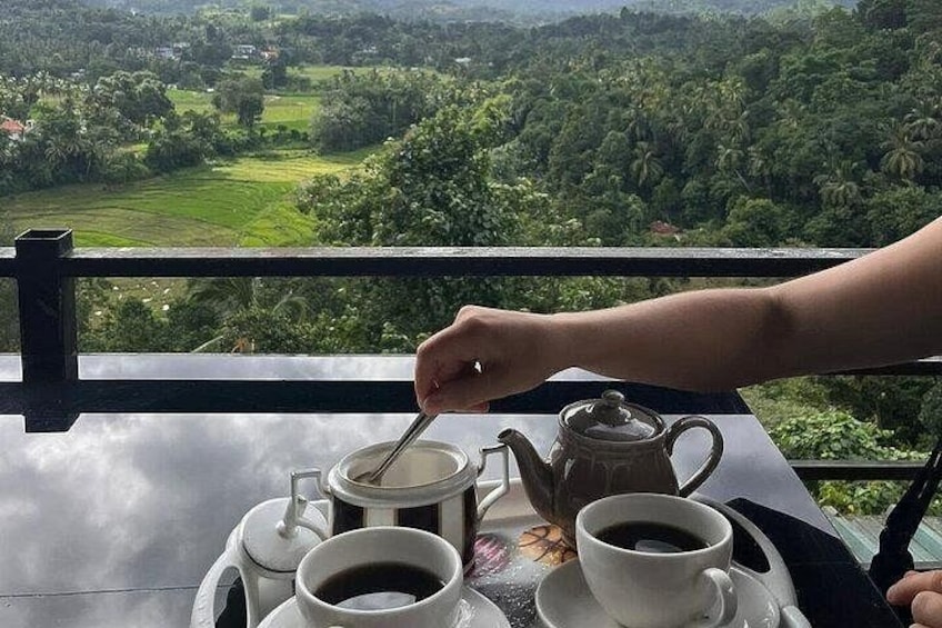 A hand pouring tea from a teapot into a cup on a table with a view of a lush landscape. 3