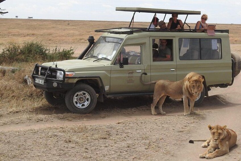 Masai Mara Transfer From Nairobi 1