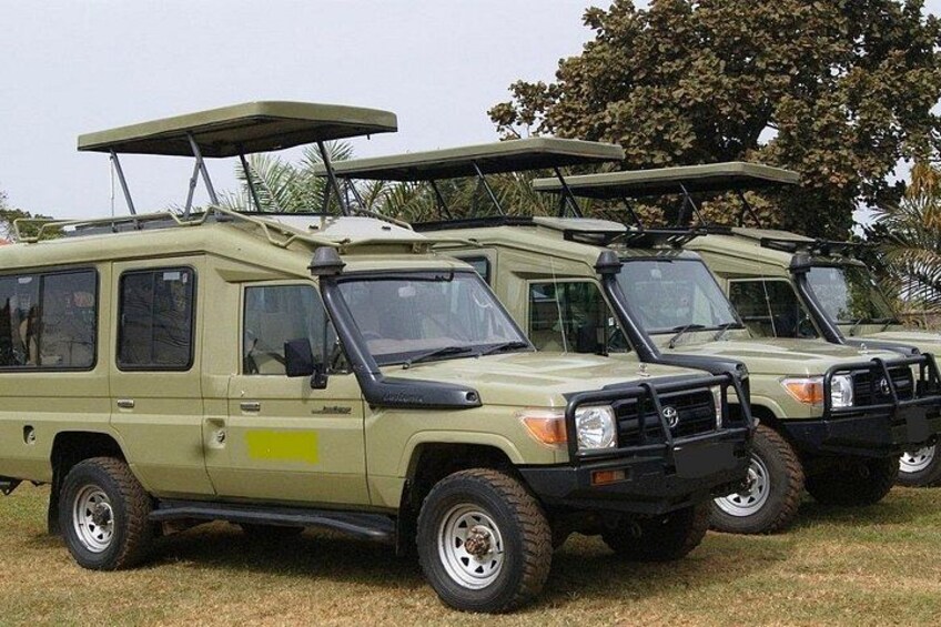 Masai Mara Transfer From Nairobi 5