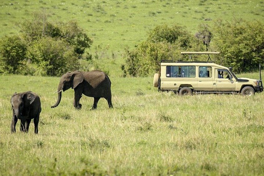 Masai Mara Transfer From Nairobi 3