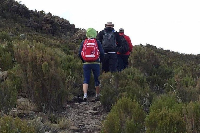 5 Days Mount Kenya Trekking Through Sirimoni Chogoria Route 3